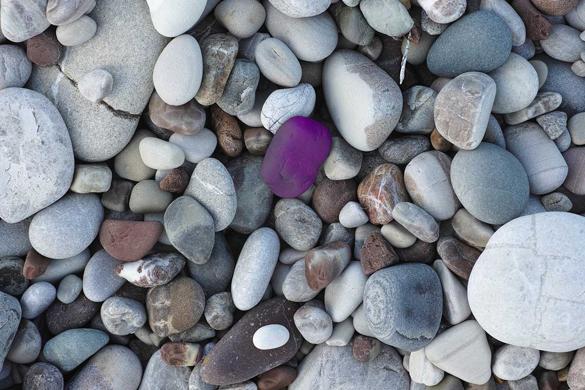 Purple Pebbles On A Beach Qp7e4tg