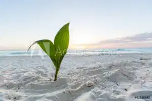 Adobestock 61638842 Preview Adobestock 61638842 Preview